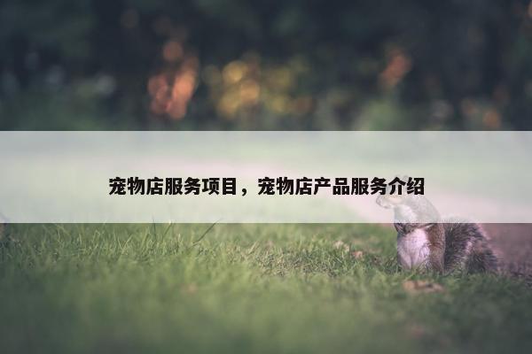 服务项目