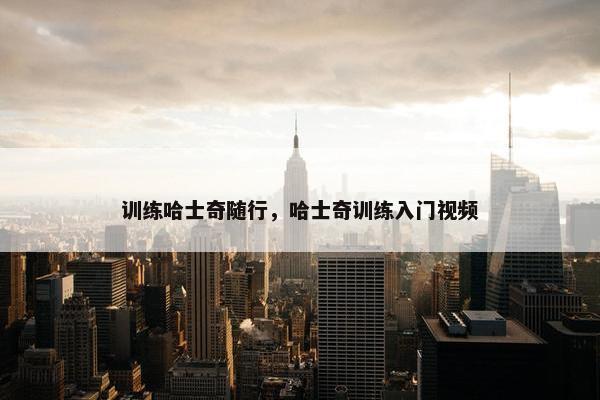 训练哈士奇随行,哈士奇训练入门视频