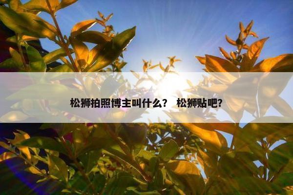 松狮拍照博主叫什么？ 松狮贴吧？