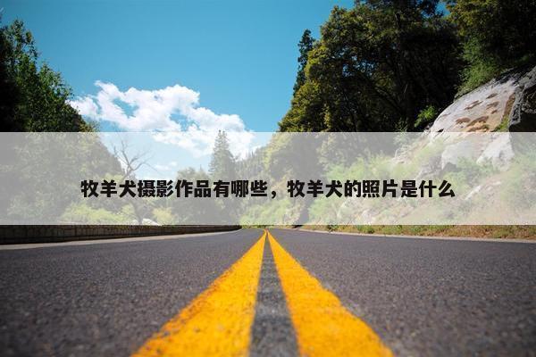 摄影