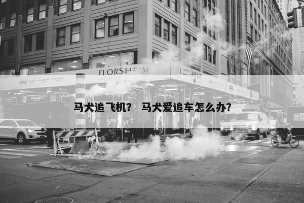 二代