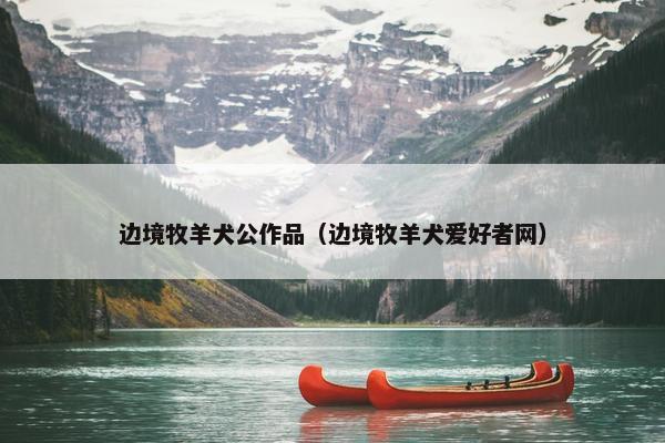 边境牧羊犬公作品（边境牧羊犬爱好者网）