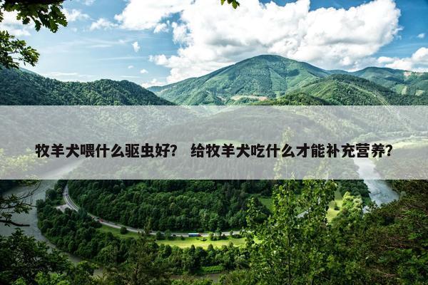 驱虫药 第5页