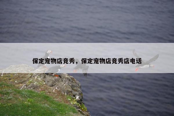 保定宠物店竞秀，保定宠物店竞秀店电话