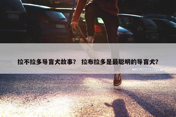 拉不拉多导盲犬故事？ 拉布拉多是最聪明的导盲犬？