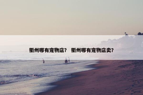 衢州哪有宠物店？ 衢州哪有宠物店卖？