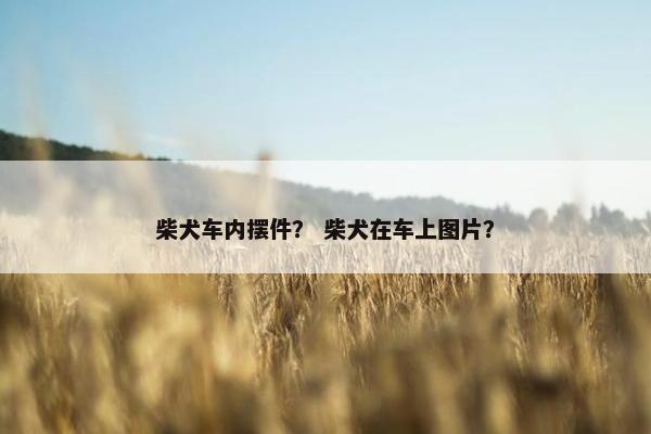 披风