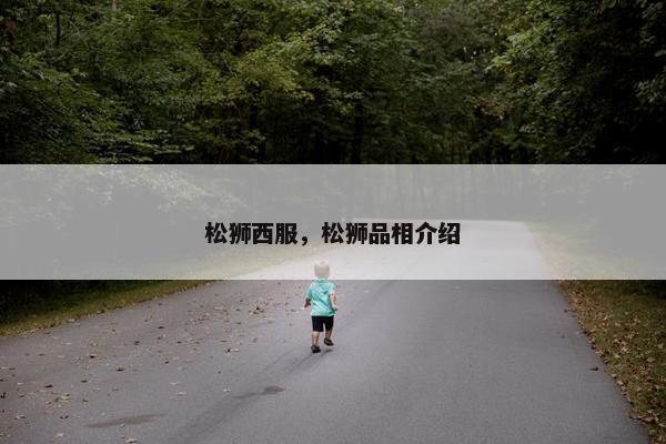 松狮西服，松狮品相介绍