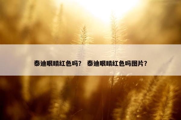 眼睛 第16页