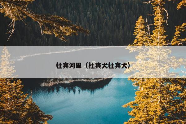 杜宾河里（杜宾犬杜宾犬）