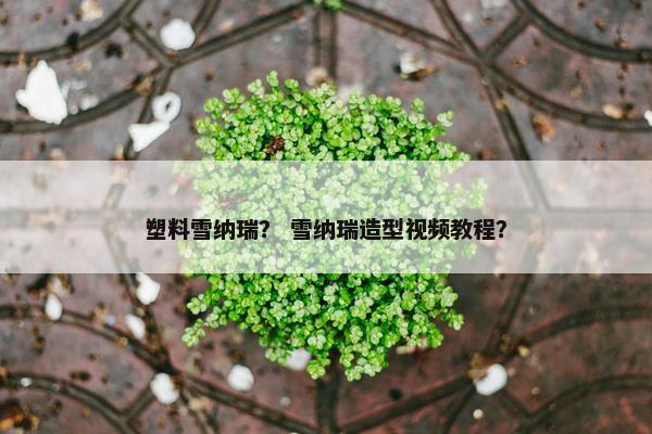 椒盐 第5页