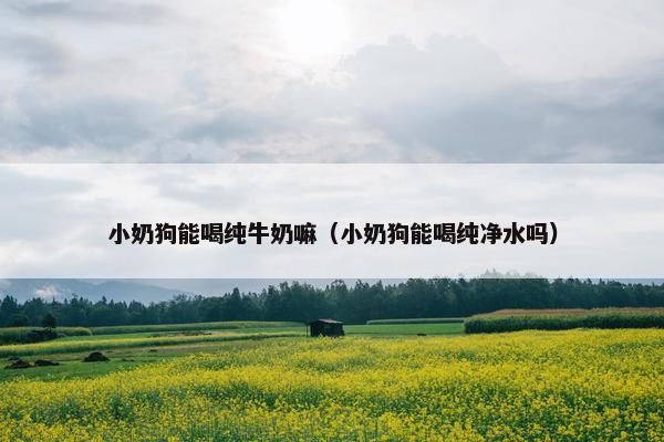 乳糖 第2页