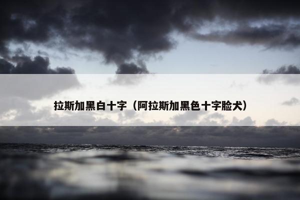 拉斯加黑白十字(阿拉斯加黑色十字脸犬)