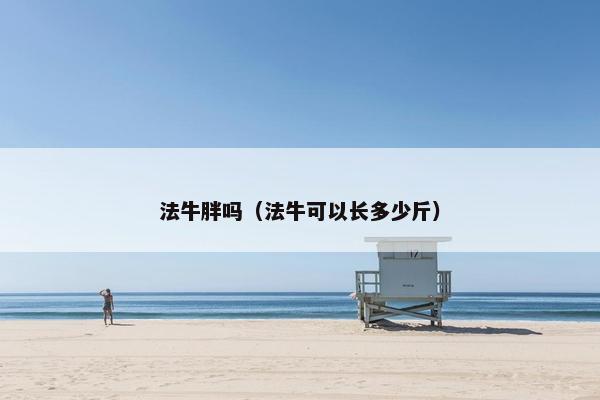 法牛胖吗（法牛可以长多少斤）