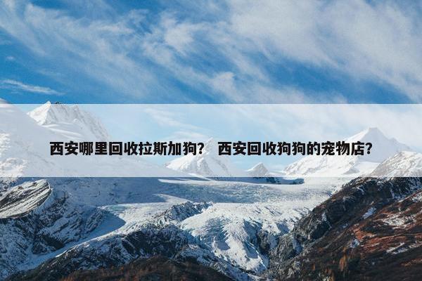 西安哪里回收拉斯加狗？ 西安回收狗狗的宠物店？