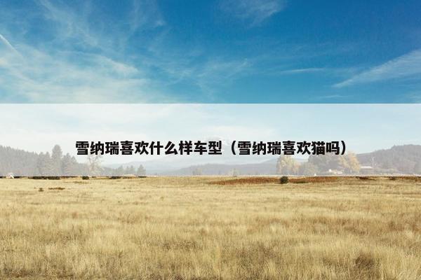 雪纳瑞喜欢什么样车型(雪纳瑞喜欢猫吗)