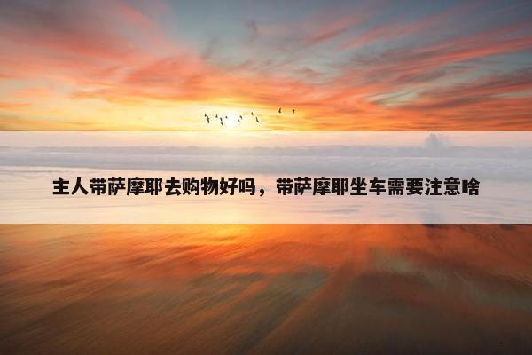 主人带萨摩耶去购物好吗，带萨摩耶坐车需要注意啥