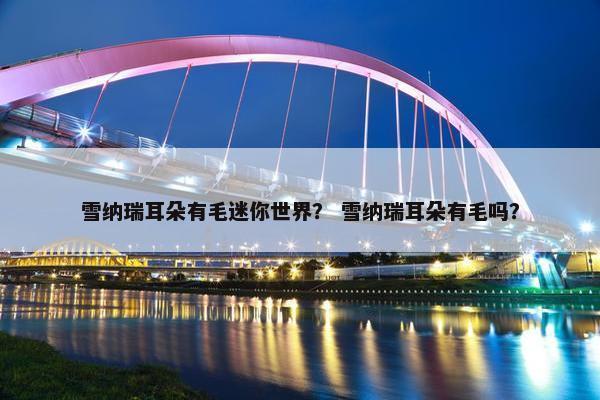 雪纳瑞耳朵有毛迷你世界？ 雪纳瑞耳朵有毛吗？