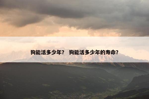 狗能活多少年? 狗能活多少年的寿命?