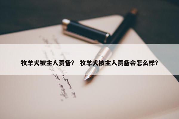 牧羊犬被主人责备？ 牧羊犬被主人责备会怎么样？