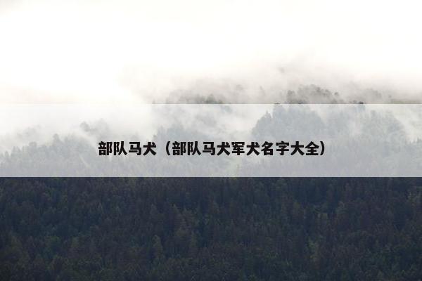 部队马犬（部队马犬军犬名字大全）