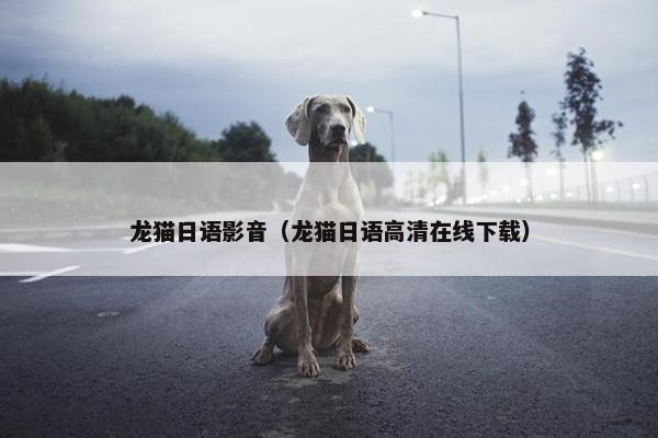 总动员