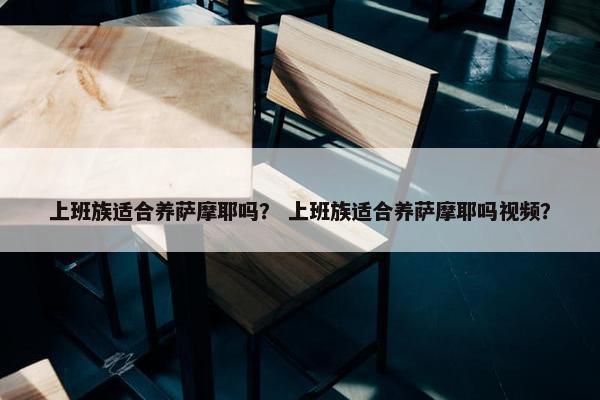 上班族适合养萨摩耶吗？ 上班族适合养萨摩耶吗视频？