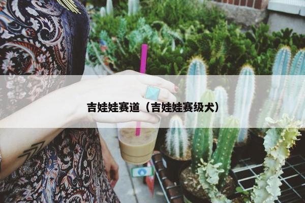 镜头