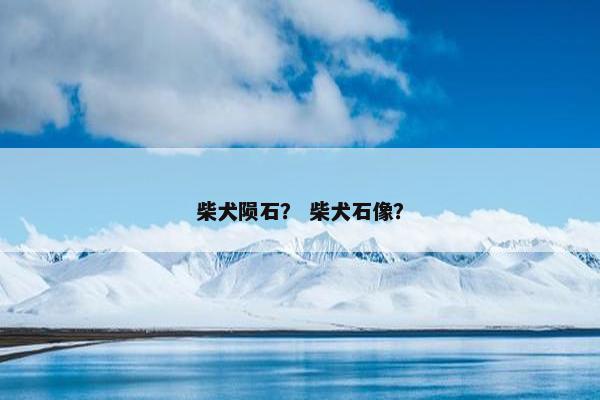 柴犬陨石？ 柴犬石像？