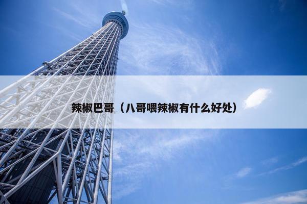 辣椒巴哥（八哥喂辣椒有什么好处）