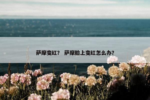 萨摩变红? 萨摩脸上变红怎么办?