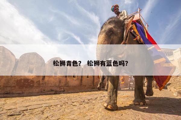 松狮青色？ 松狮有蓝色吗？