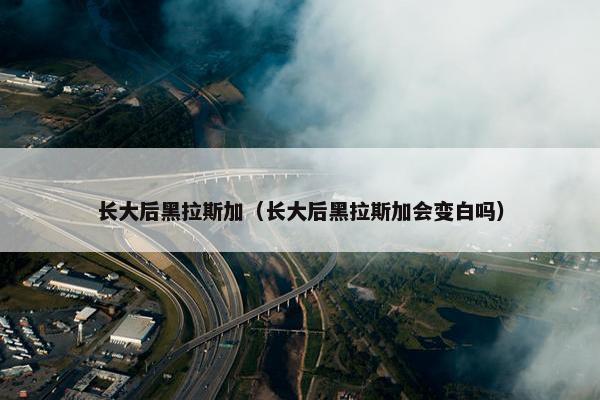 迈克