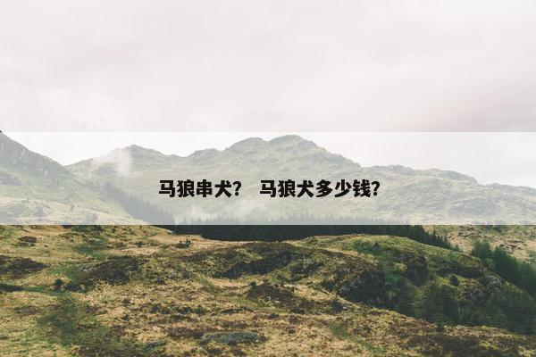 马狼串犬？ 马狼犬多少钱？