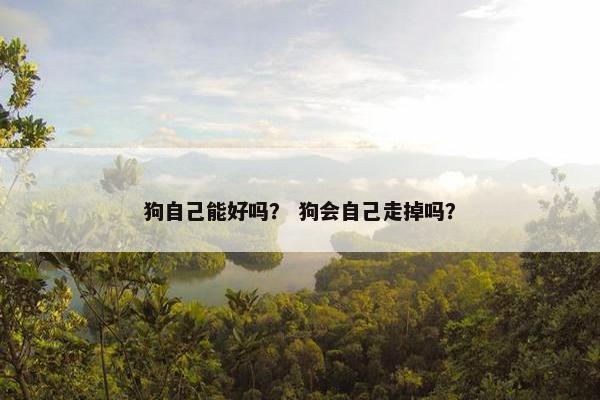 狗自己能好吗？ 狗会自己走掉吗？
