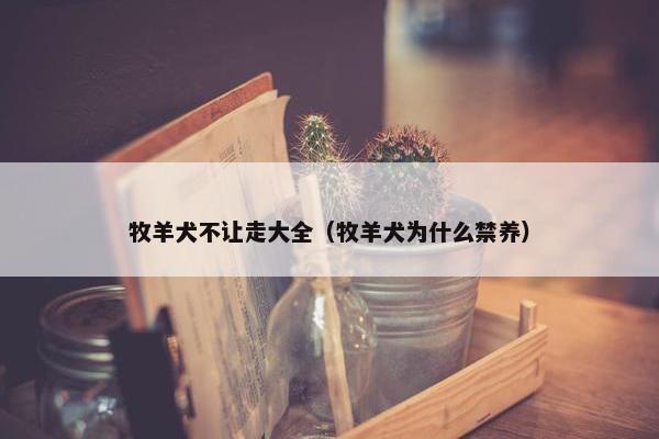 牧羊犬不让走大全（牧羊犬为什么禁养）