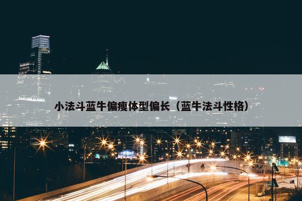 小法斗蓝牛偏瘦体型偏长(蓝牛法斗性格)
