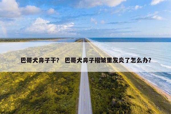 儿童用