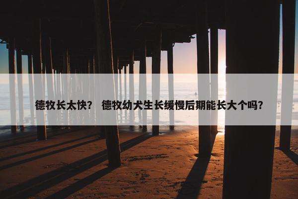 德牧长太快？ 德牧幼犬生长缓慢后期能长大个吗？