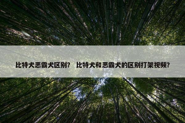 恶霸 第4页