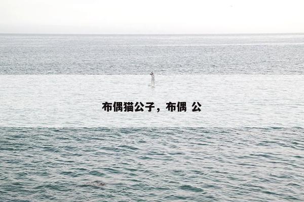 布偶猫公子,布偶 公