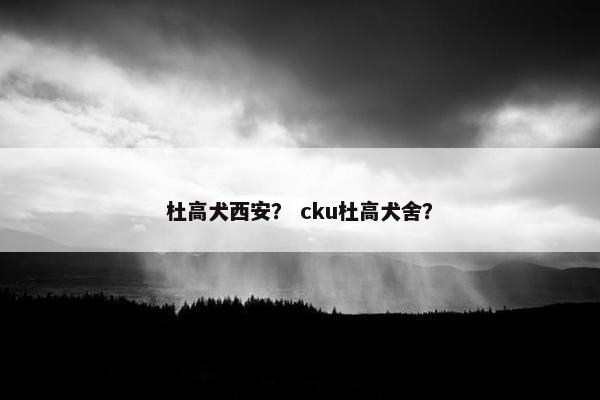 杜高犬西安? cku杜高犬舍?