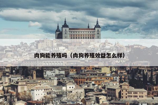 肉狗能养殖吗（肉狗养殖效益怎么样）