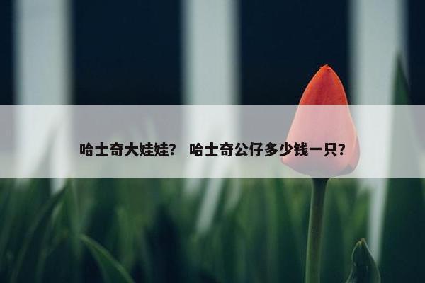 哈士奇大娃娃？ 哈士奇公仔多少钱一只？