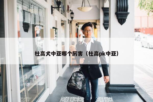 杜高犬中亚哪个厉害（杜高pk中亚）