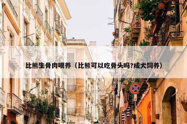 比熊生骨肉喂养（比熊可以吃骨头吗?成犬饲养）