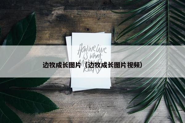 边牧成长图片（边牧成长图片视频）