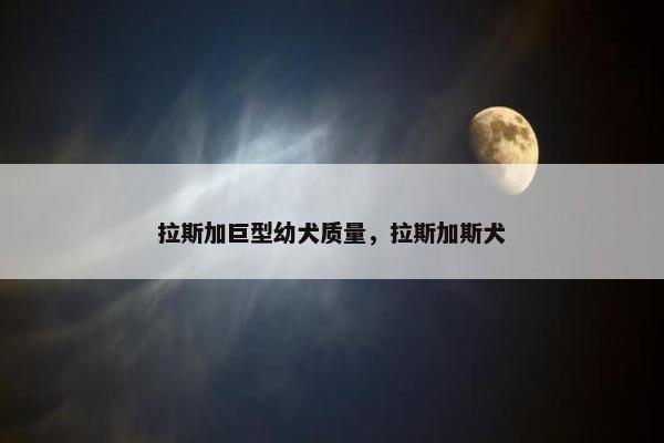 拉斯加巨型幼犬质量，拉斯加斯犬