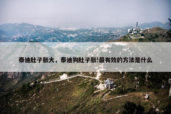 泰迪肚子胀大，泰迪狗肚子胀!最有效的方法是什么