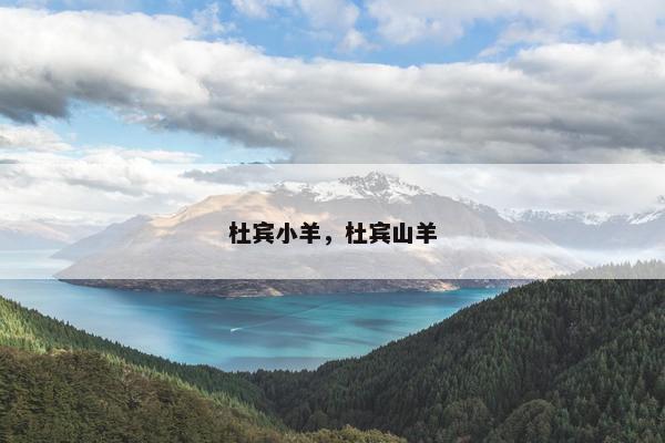 群羊